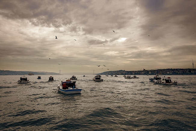 Ödüllü fotoğraf sanatçı Hasan Cem Araptarlı dan  İstanbul Balıkçıları  sergisi