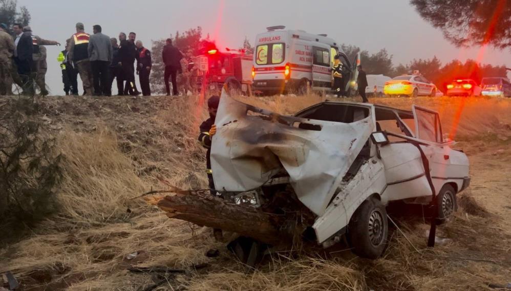 Şanlıurfa'da otomobil ağaca çarptı