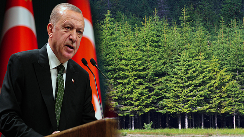 CUMHURBAŞKANI ERDOĞAN: “ORMANLARIMIZ, GELECEK NESİLLERİN EMANETİDİR”