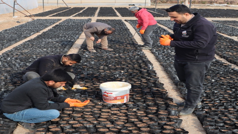 Şanlıurfa'da Keten Köyneği Fıstığı İçin Proje