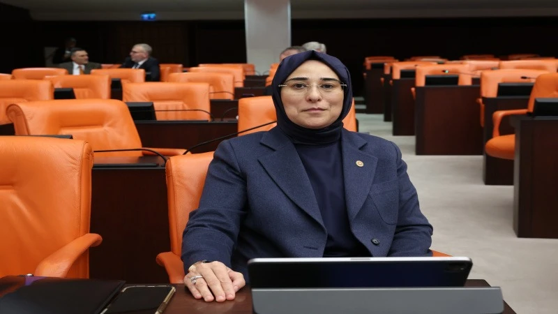 Yazmacı, Mehmet Akif İnan’ı Vefatının 26’ncı Yılında TBMM’de Andı